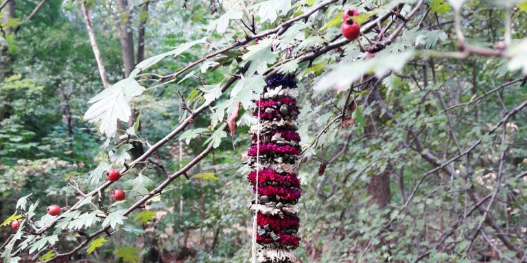 het belang van creativiteit