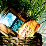 Het Feng Shui Handboek met palm