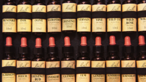 Bach bloesems voor mentale kracht